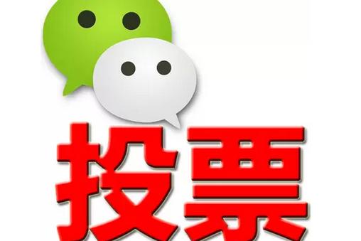 兰州市微信投票功能开发 上传图片投票